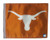 TEXAS LONGHORNS WHITE LOGO Flag with 11in.x15in. Flag Variety 
