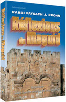 Reflections of the Maggid - French Edition