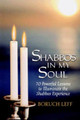 Shabbos in my Soul