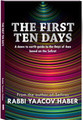 The First Ten Days: A down to earth guide to the Days of Awe based on the Sefirot