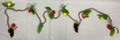 Fruit And Grape Garland On Rope - 9ft (200306)