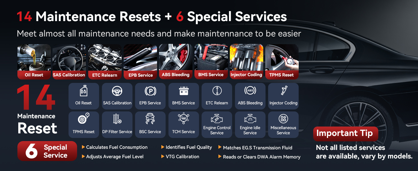 Maintenance resets and service functions