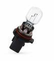 P13W Bulbs