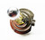 MARUTA® H7 100W 12v 2900K Golden Yellow Xenon Gas Filled Headlight Bulbs With Advanced Technology