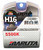 MTEC / MARUTA H16 19W 12V 5500K Xenon Gas Filled Upgrade Bulbs (MT-489b)