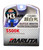 MARUTA® H3 100W 12V Super White (5500K) Xenon Gas Filled Car Headlight / Front Fog Light Bulbs With Advanced Technology