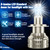 D-Lumina H7 LED Headlight Bulbs - Projector/Lens Ready - Canbus 6000K - Pair