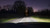 Philips XtremeVision Pro150 H11 12v 55w Headlight/Front Fog bulb