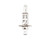 Halogen Bulb - 12V 55W H1A P14.5s - Headlamp
