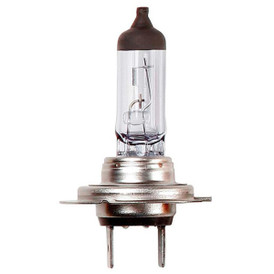 Halogen Bulb - 12V 55W H7 Px26d - Headlamp 