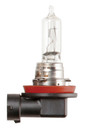 Halogen Bulb - 12V 65W H9 PGJ19-5 - Headlamp