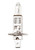 Halogen Bulbs - 12V 55W H1A P14.5s - Headlamp Premium