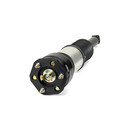 Arnott Rear Shock - 07-12 Lexus LS- 460 - Left or Right (AS-2856)