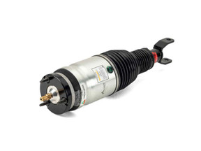 Arnott Front Eibach Air Strut - 10--> RAM 1500 (DS)