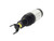 Arnott Front Eibach Air Strut - 10--> RAM 1500 (DS)