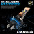 D-Lumina H7 LED Canbus Bulbs - 50W 10000LM 6500K White - High/Low Beam - Plug & Play - 2 Pack