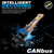 D-Lumina H3 LED CANBUS Headlight Bulbs 50W 6000K White – Pair
