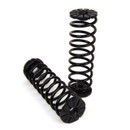 Arnott Rear Coil Spring Conversion Kit - 95-03 Ford Windstar