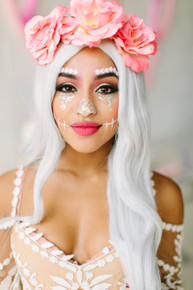 DELUXE Silver Grey Long Costume Wig