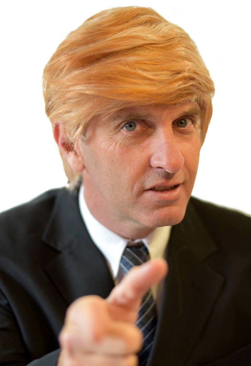 Donald Trump Wig US Billionaire Mens Costume Wig by Allaura The Wig