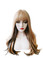 Amy - Long Straight Two Tone Brown Wig with Fringe by Allaura