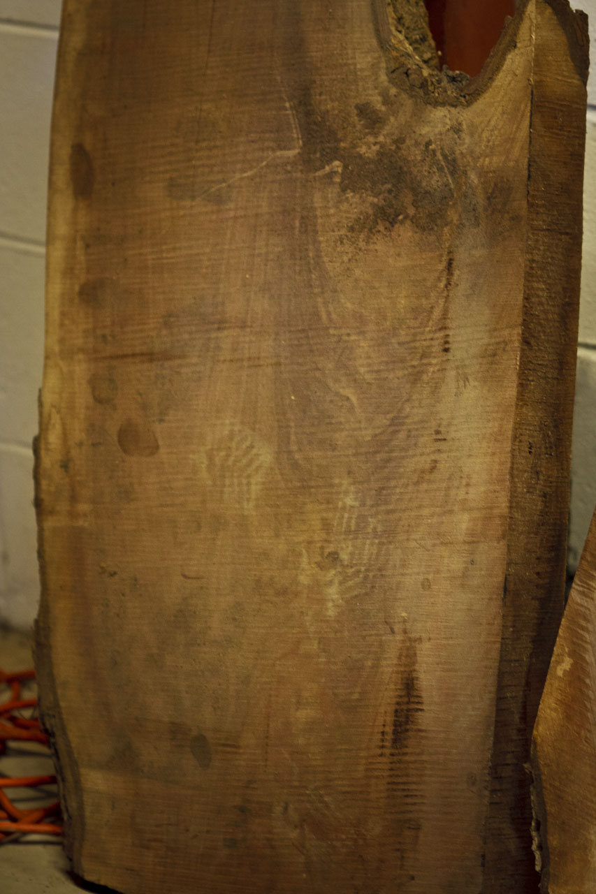 Crotch Walnut Wooden Slab
