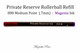Private Reserve Ink Rollerball Pen Refills, Rainbow Colors, Magenta, Medium Ink