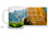 Put on your Sunday best every day with this beautiful Christian Inspiration coffee mug featuring the popular passage from John 8:12 "I am the Light of the World and He who Follows Me shall Not Walk in Darkness but have the Light of Life". 15 oz John 8:12 Inspirational Coffee Mug features colorful rural scene and is dishwasher and microwave safe.