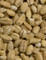 Shiloh Farms Organic Hulled Barley