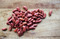 Shiloh Farms Organic Dark Red Kidney Beans