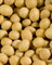 Yellow Soybeans, Organic 15 oz
