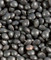 Shiloh Farms Organic Petite Black Lentils
