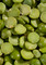Shiloh Farms Organic Green Split Peas