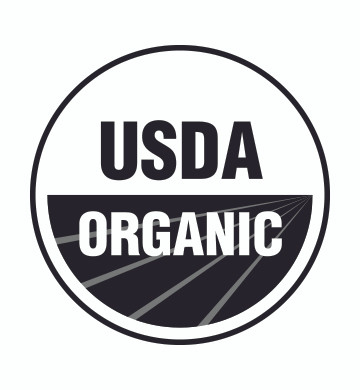 Organic Pumpkin Seed PIZZA CRUST MIX – Savor Tooth