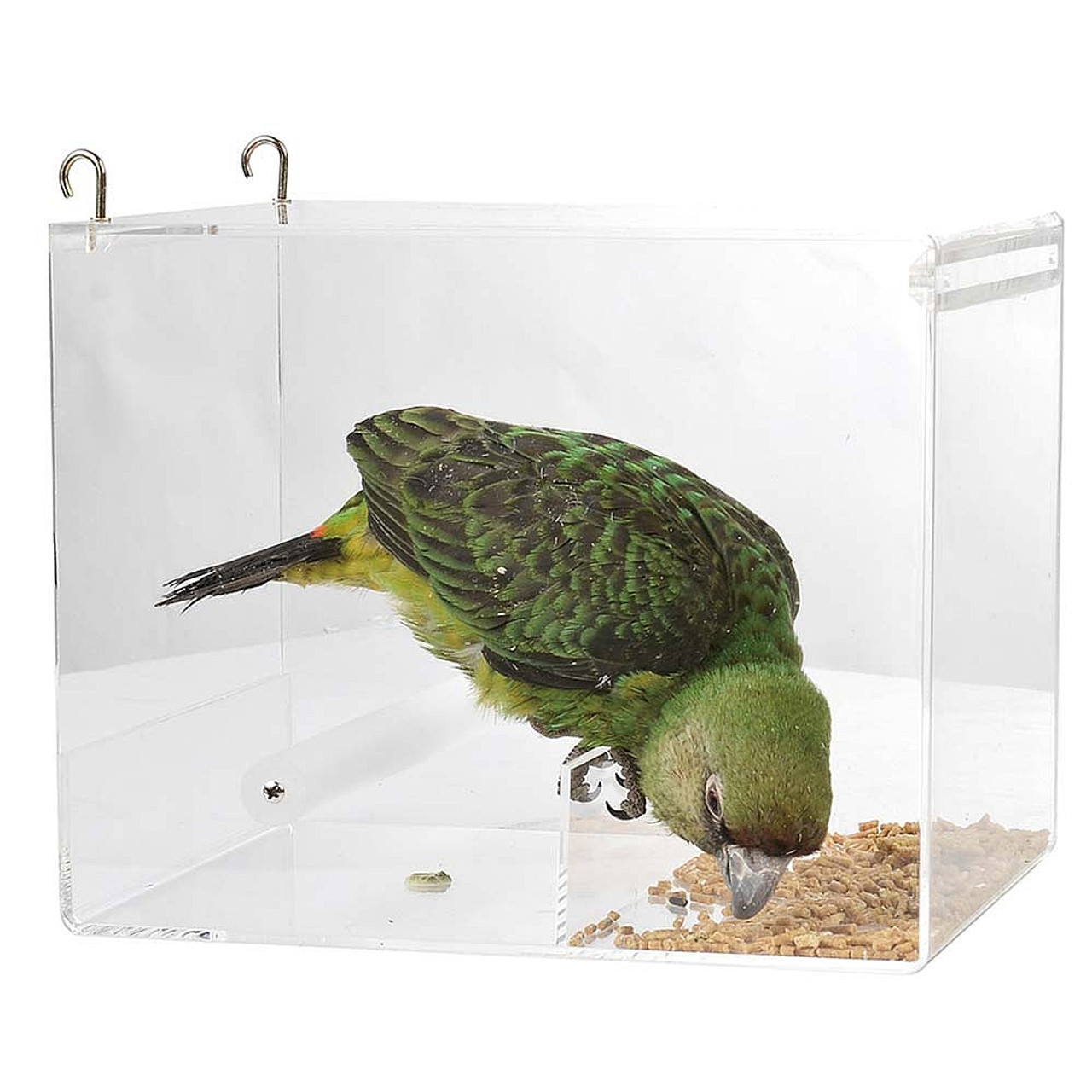mate food parrot food mate acrylic less mess feeder large mate food parrot food mate acrylic less mess feeder large