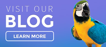Visit Our Parrot Blog