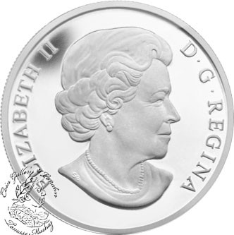 Niagara Falls 2013 $10 1//2 oz Fine Silver Coin Oh Canada Series