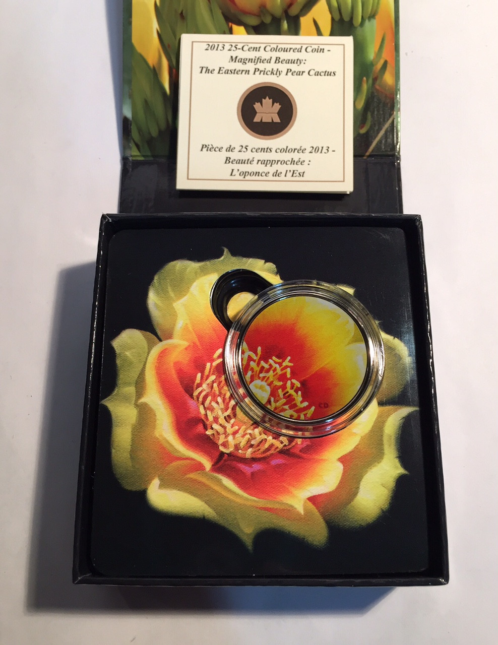 Canada 2013 25 Cents The Eastern Prickly Pear Cactus Coloured Coin