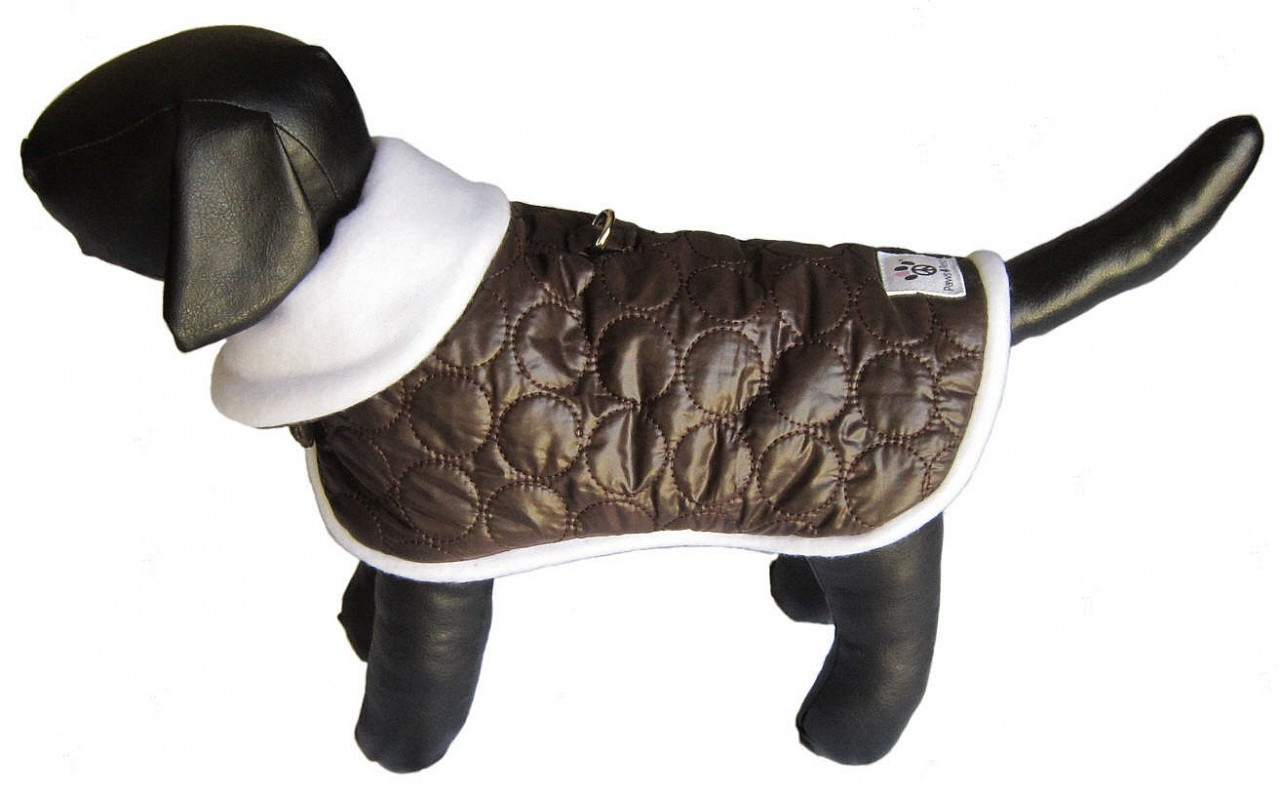 puffy dog jacket