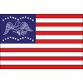 3' x 5' General Fremont Flag