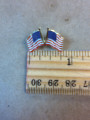 U.S. Double Lapel Pin 