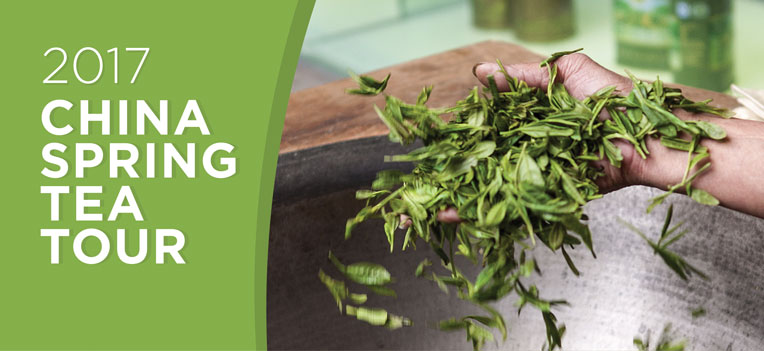 2017 China Spring Tea Tour - Tao Tea Leaf - Toronto Tea Shop, Online ...