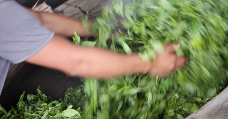 2018 China Spring Tea Tour - Tao Tea Leaf - Toronto Tea Shop, Online ...