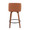 Toriano 26" Mid-Century Modern Fixed Height Counter Stool with Swivel in Walnut Wood and Camel Faux Leather with Round Black Footrest- Set of 2 — back view