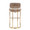 Mid-back Demi 30" Contemporary Fixed-Height Barstool in Gold Metal and Brown Fabric- Set of 2 — back view