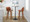Tintori bar stool in Walnut Wood, Camel PU, Chrome Metal, featuring swivel and wood frame