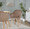 Buena Contemporary Dining Chair in Zebra Wood and Brown Velvet- Set of 2 — lifestyle photo 1