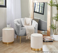 Tania accent chair in Gold Steel, Silver Velvet, featuring upholstered seat