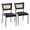 Tania dining chair in Black Metal, Black PU, Rattan, coordinated set view, featuring rattan design and metal design