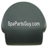 102577 Coleman Maax Spas Filter Lid Pillow Charcoal Gray 400 & 700 Series 